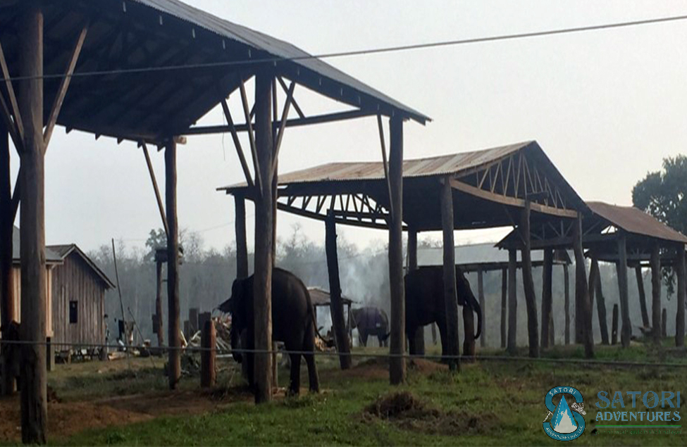  1 Night 2 Days Chitwan Tour 