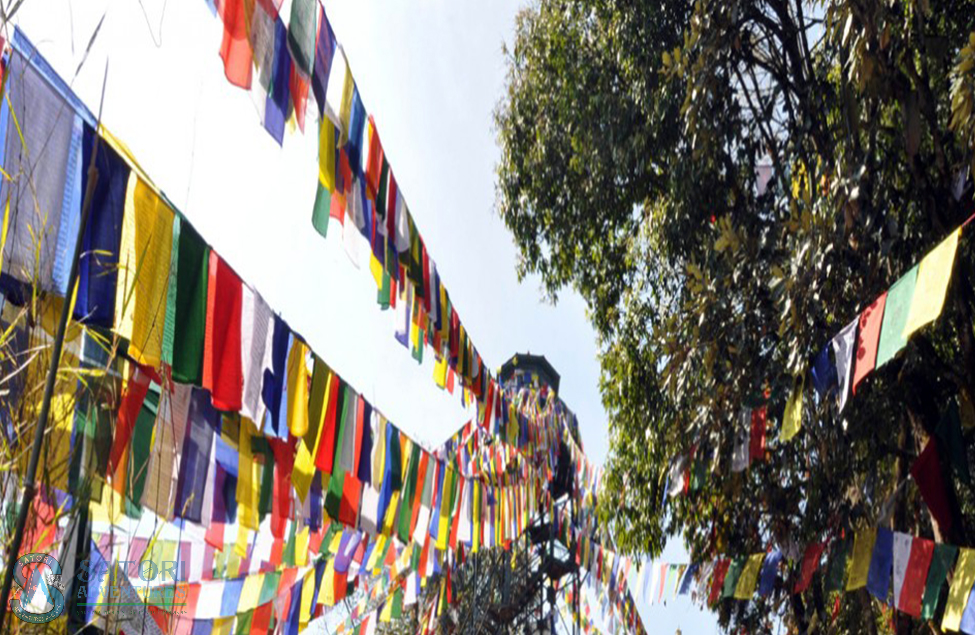  Shivapuri Nagarkot Trekking 