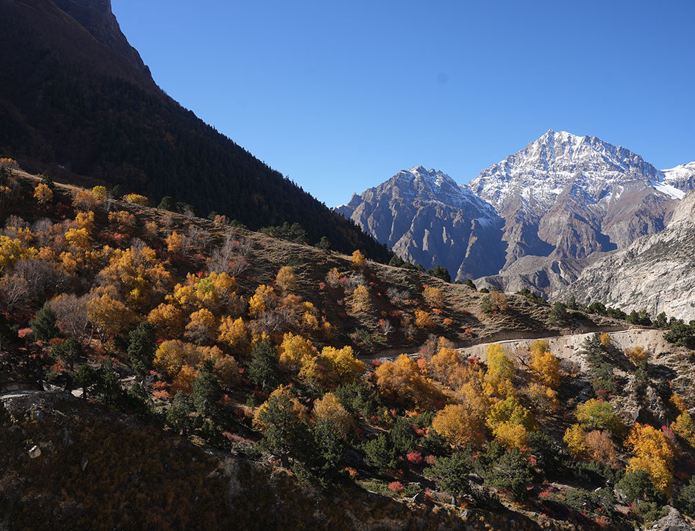  Himlung Himal Expedition 